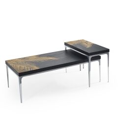 Shw431 Center & Shw463 Yan Sehpa