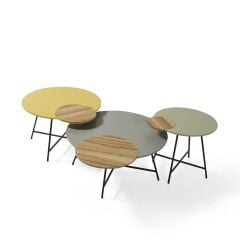 Shw583 Center & Yan Sehpa